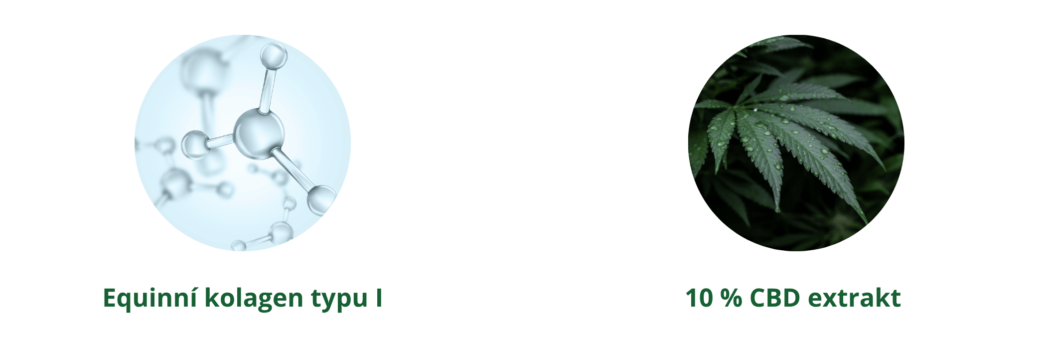 slozeni-horse-kolagen-cbd